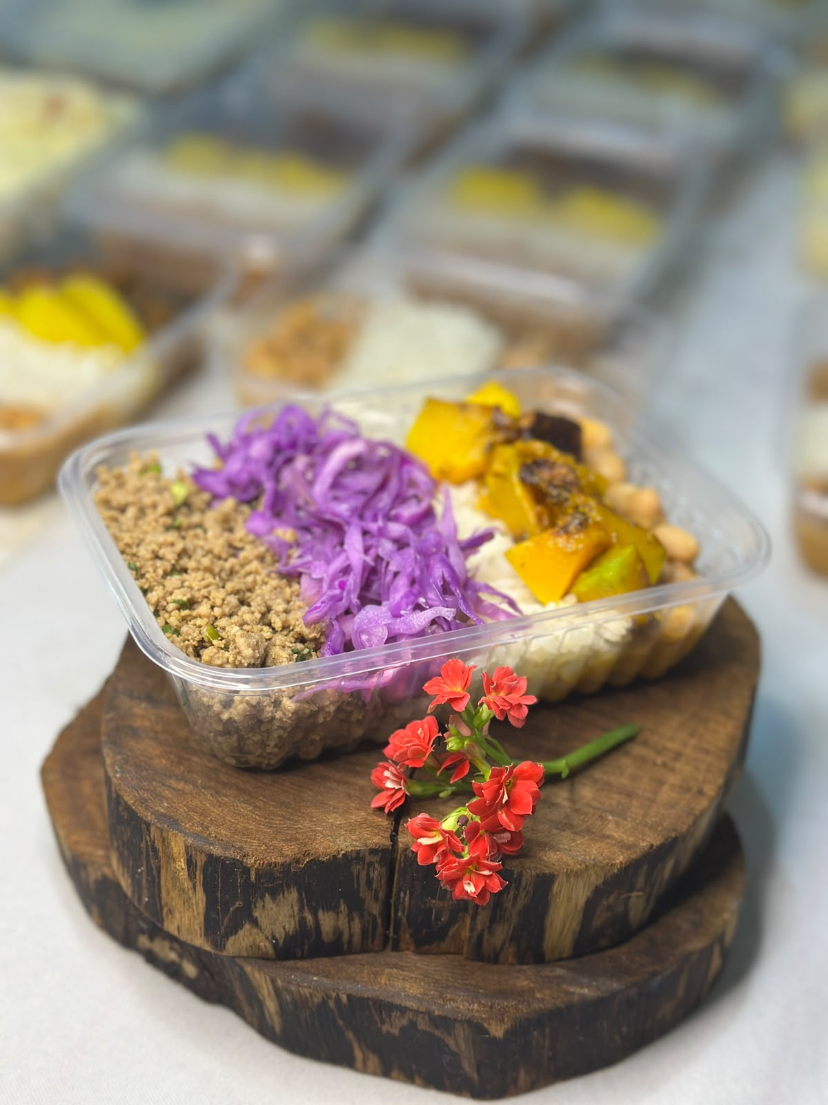 Marmita Casa Celi com carne moída e legumes